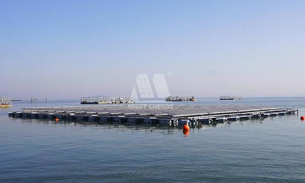 El sistema fotovoltaico marino Mibet se implementó con éxito cerca de la costa
        