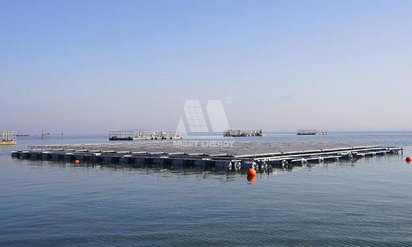 El sistema fotovoltaico marino Mibet se implementó con éxito cerca de la costa
        